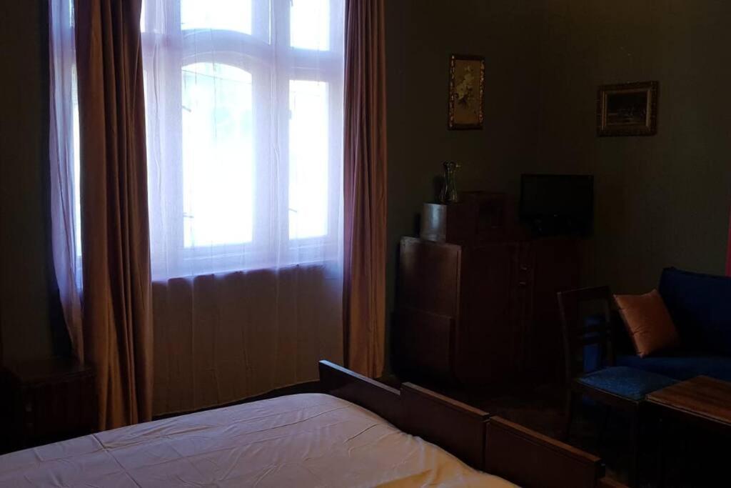 Josephine Central Villa & Garden Cluj-Napoca Ngoại thất bức ảnh