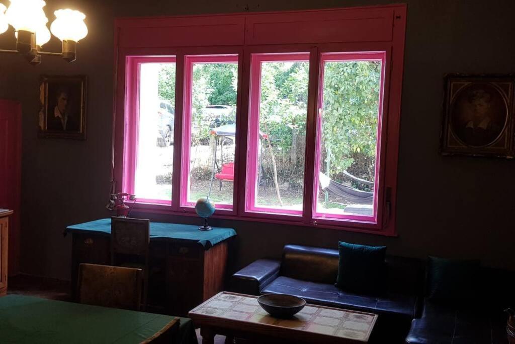 Josephine Central Villa & Garden Cluj-Napoca Ngoại thất bức ảnh