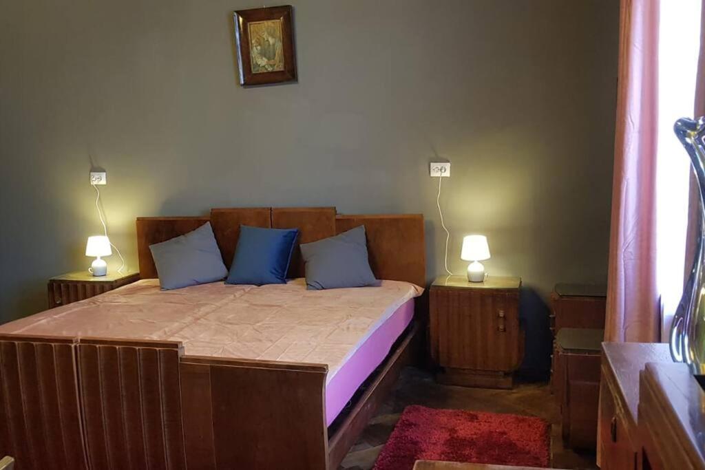 Josephine Central Villa & Garden Cluj-Napoca Ngoại thất bức ảnh