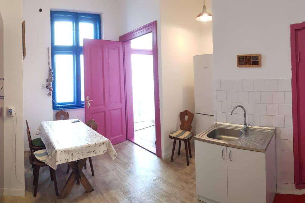 Josephine Central Villa & Garden Cluj-Napoca Ngoại thất bức ảnh